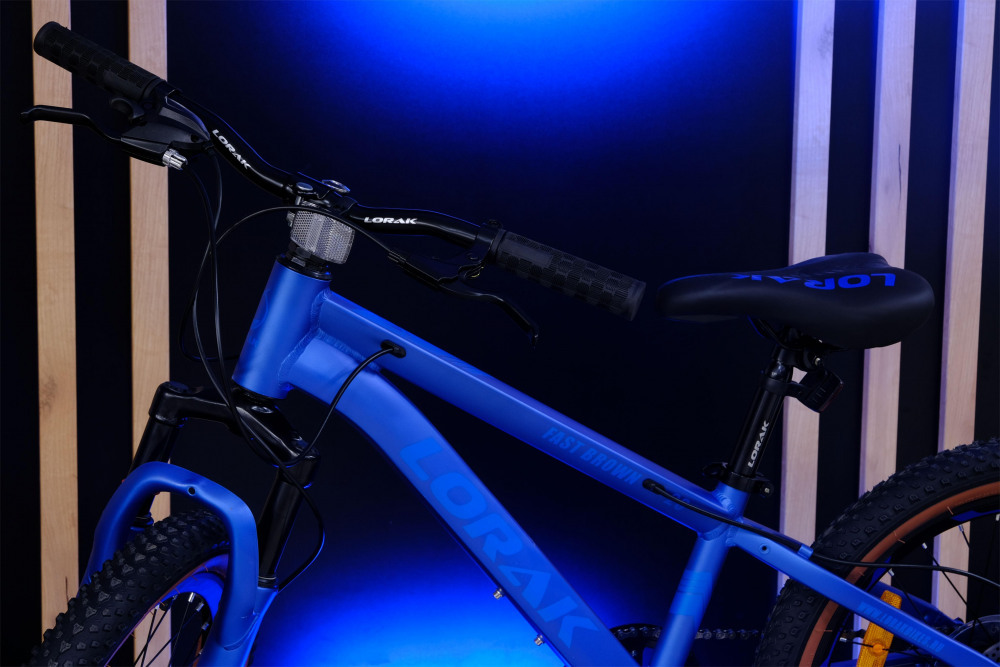 LORAK Fast Brown 20 Синий