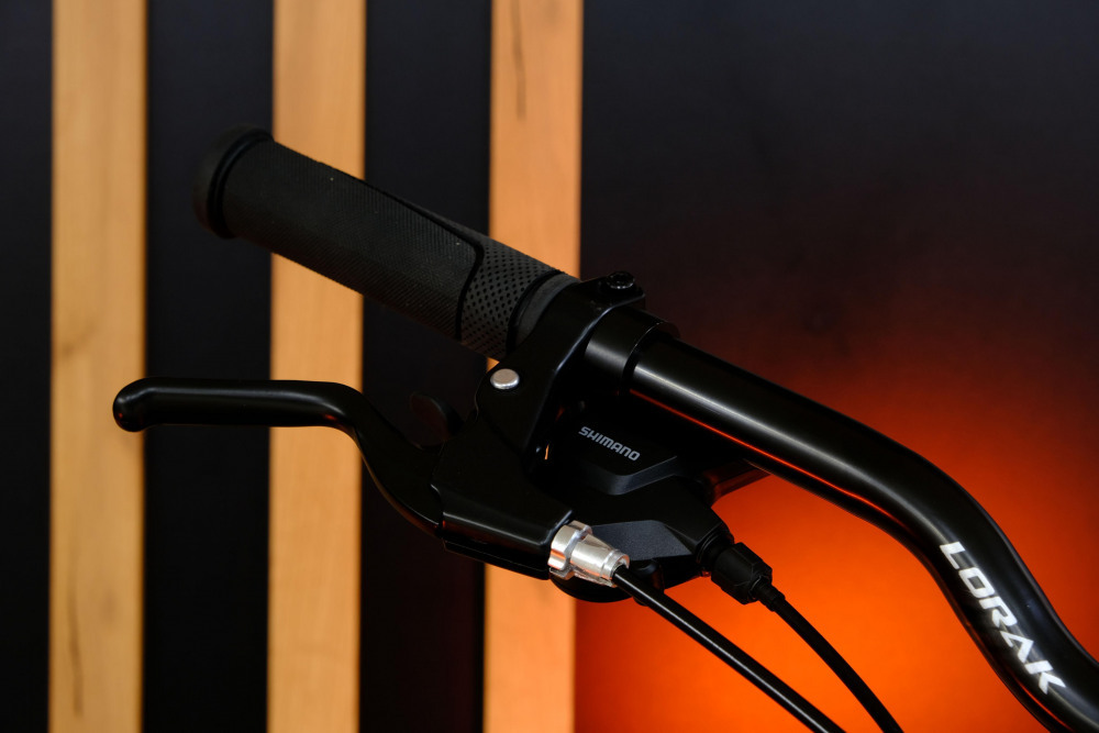 LORAK GLORY 9 Золотисто Серый рама 19 (на рост 171-182)