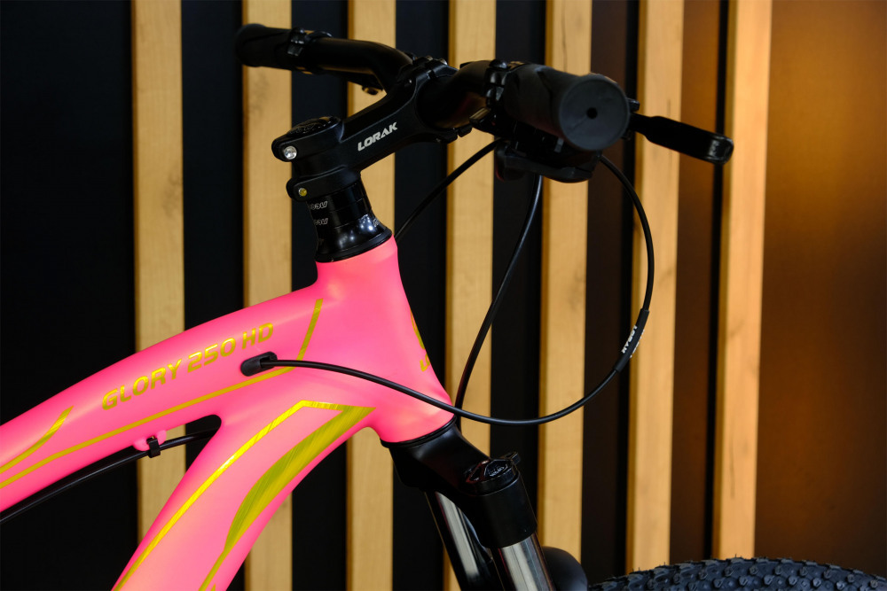 LORAK GLORY 250 HD Матовый Розовый/Золотой рама 19 (на рост 171-182)