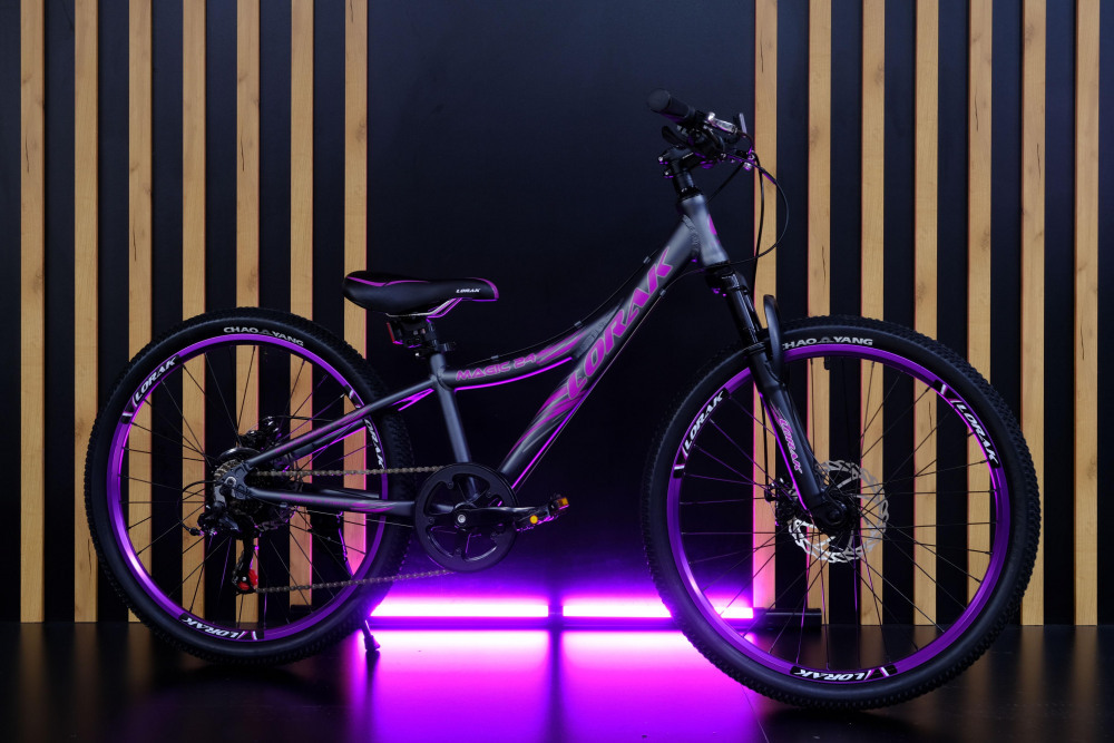 Lorak Magic 24 Серый/Фиолетовый